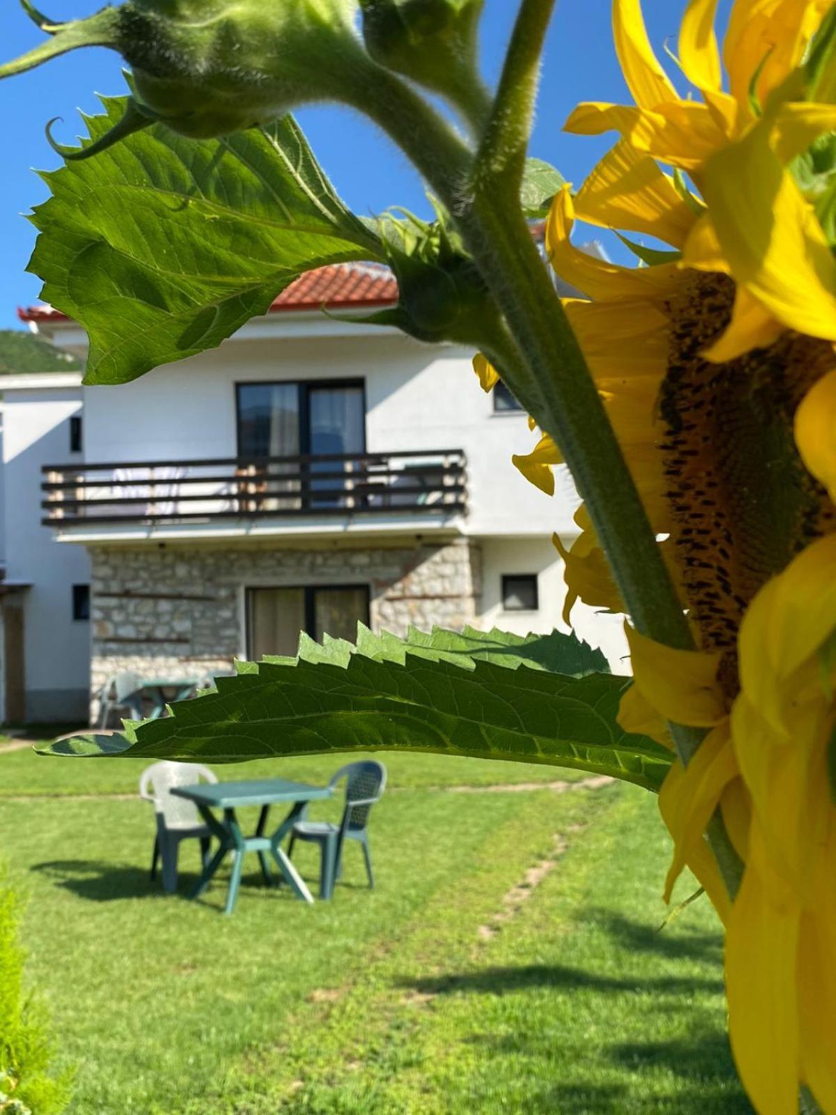 Vila Ndrio Tushemisht Exteriör bild
